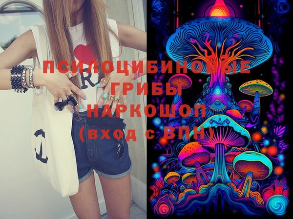 PSILOCYBIN Протвино