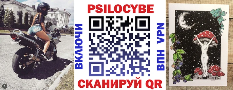 KRAKEN зеркало  Хабаровск  Галлюциногенные грибы Psilocybe  дарк нет как зайти  хочу наркоту 
